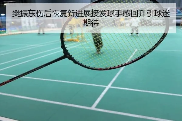 樊振东伤后恢复新进展接发球手感回升引球迷期待